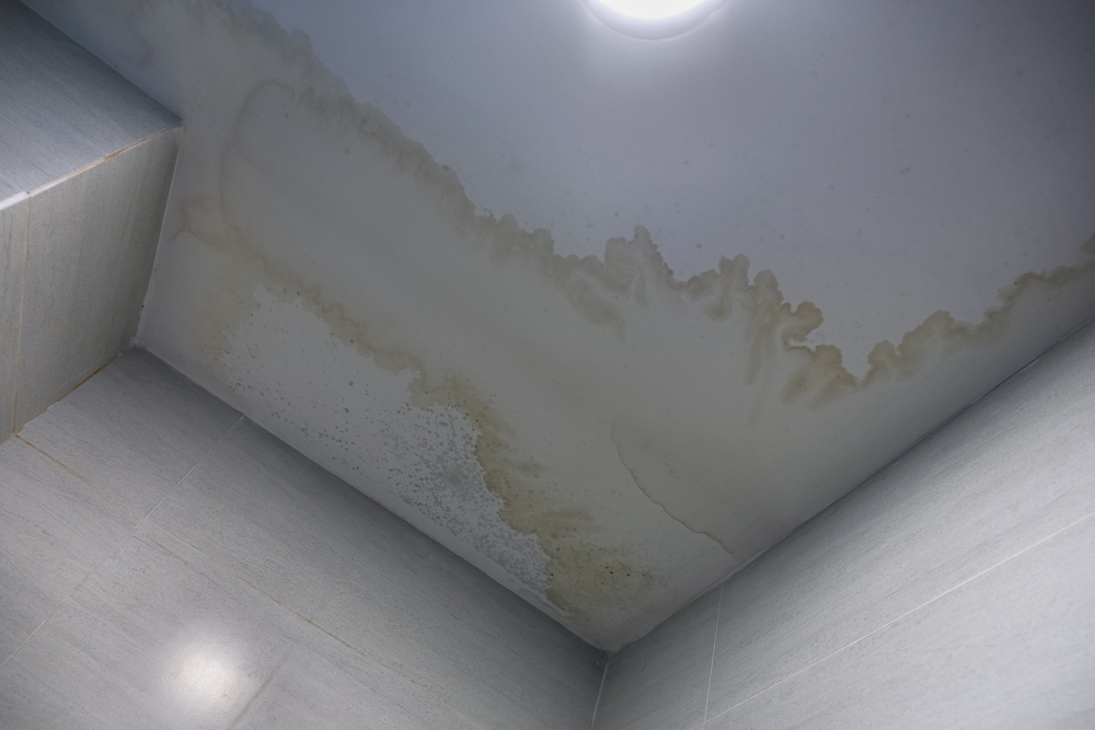 Taches noires au plafond