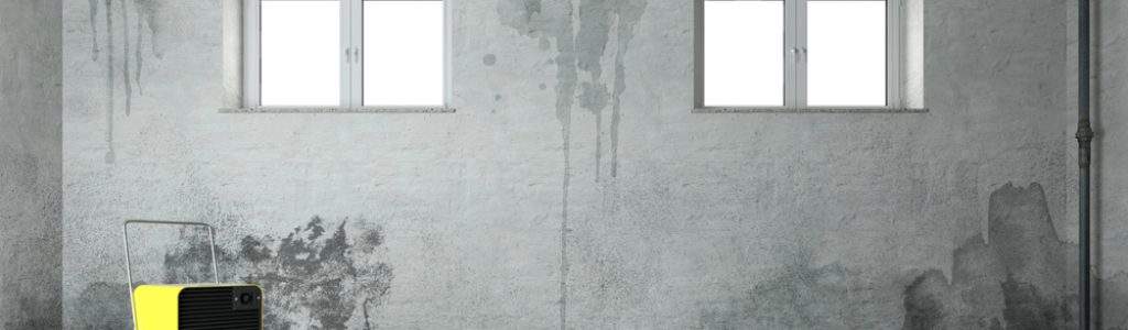 Mold,After,Water,Damage,Due,To,A,Broken,Pipe,In Mold,After,Water,Damage,Due,To,A,Broken,Pipe,In