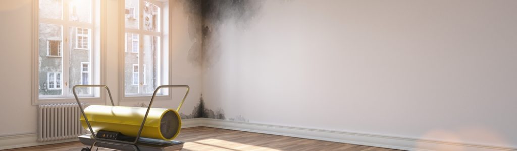 Dehumidifier,Rent,For,Room,Water,Damage,At,House,Or,Apartment Dehumidifier,Rent,For,Room,Water,Damage,At,House,Or,Apartment